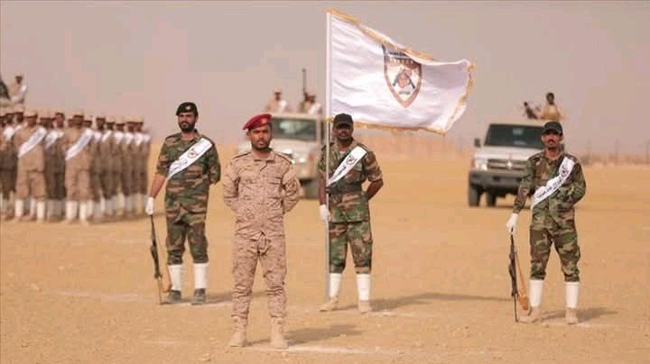 مأرب برس #اليمن tweet media