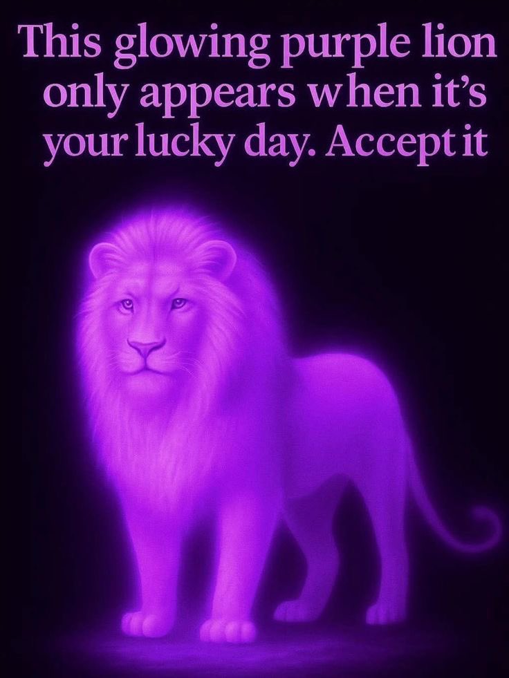 ProgressCode🌺 tweet media