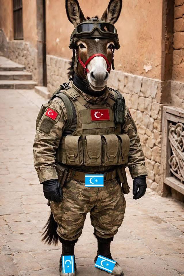 StrattonMeyer tweet media