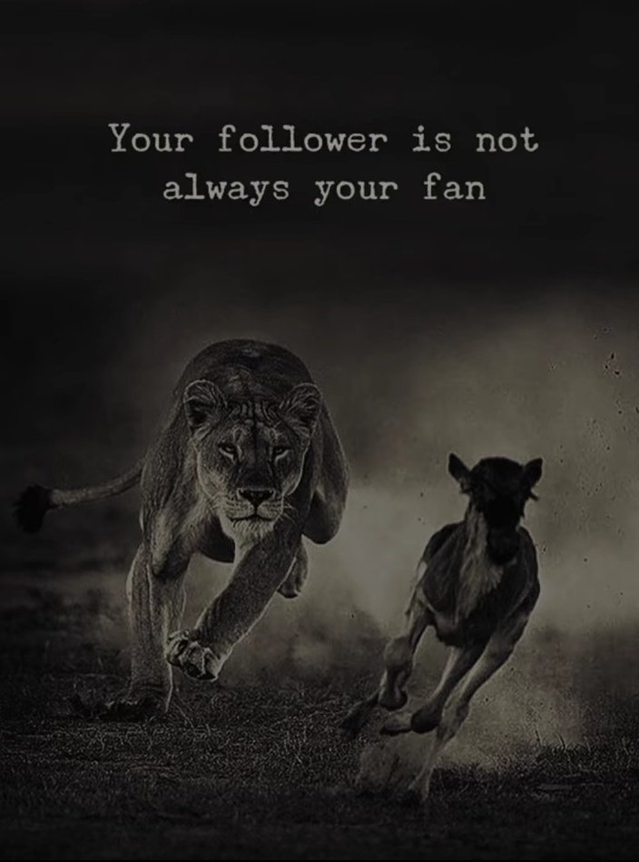 jamesmason112_'s tweet photo. https://t.co/UKhJI3qzxw