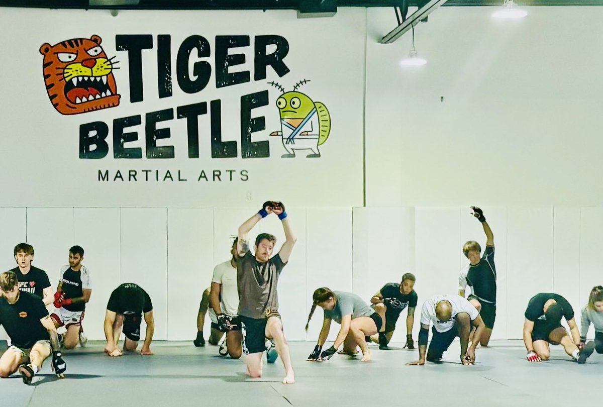 tatsuro_ch's tweet image. TIGER BEETLE👊

#平良達郎
#UFC328