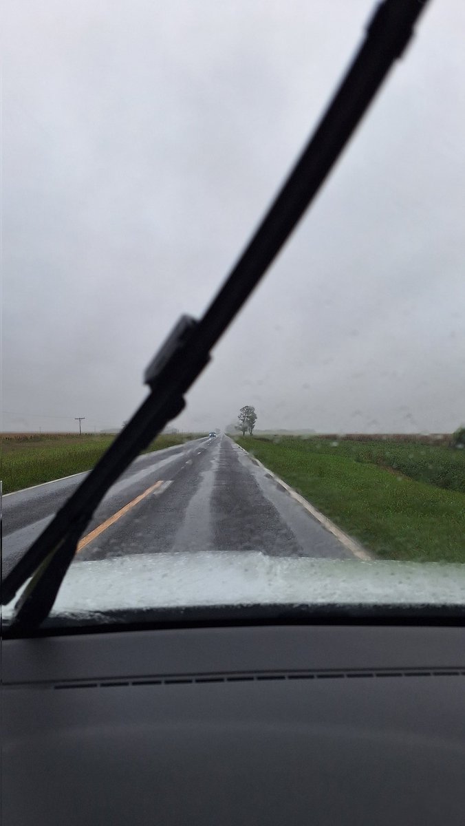 Carola Raspo tweet media