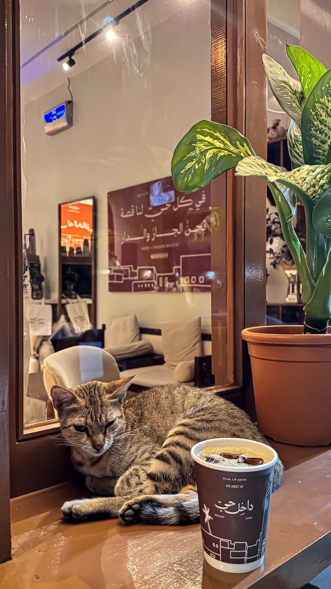 4tsrl's tweet photo. فعلاً طلعو الـ بسيس يسعدون  الواحد🐈❣️ https://t.co/I51vSPQL9I