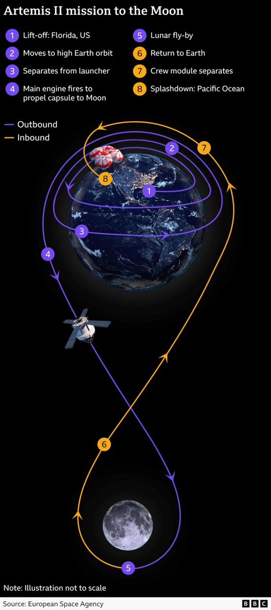 The Curious Tales tweet media