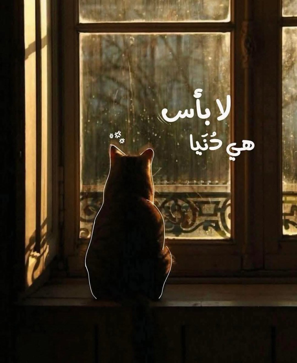 لا بأس هناك جنّة ♡