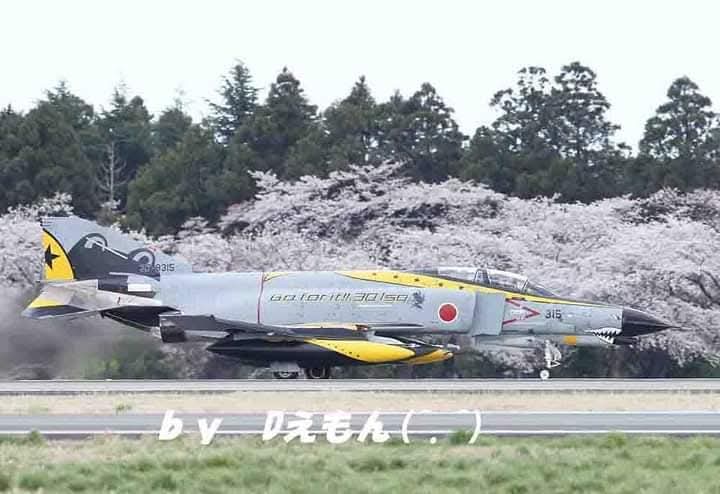 ジョエ tweet media