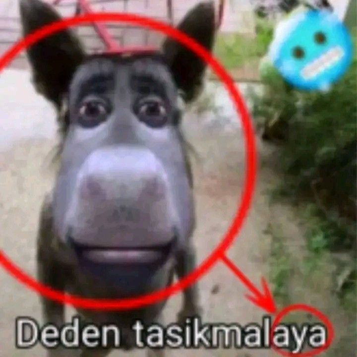 ☆°kin²⁶ tweet media