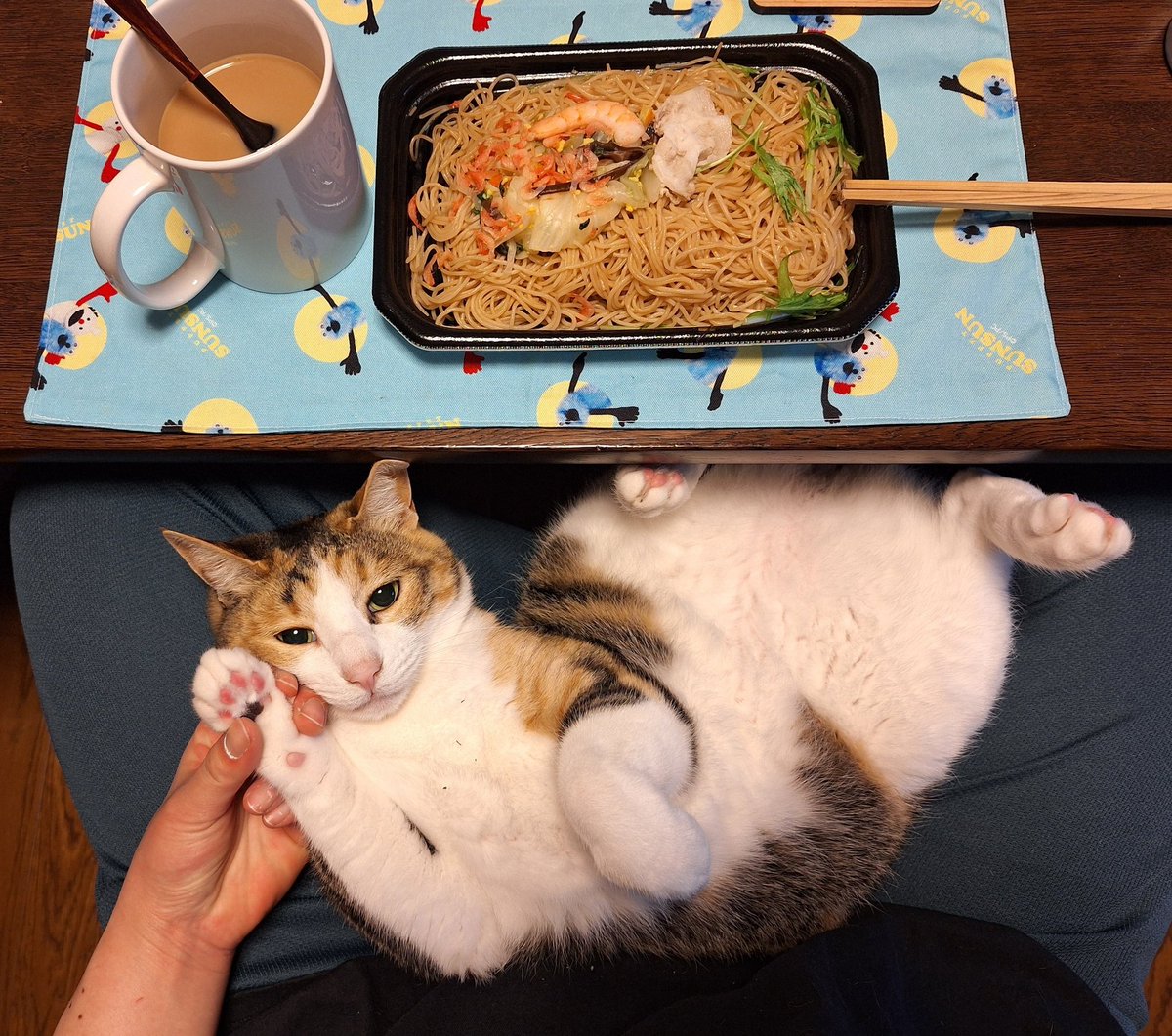 にこちゃまちゃんぬる tweet media