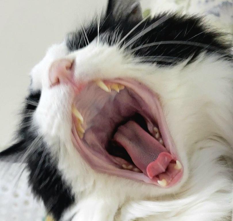 サイマック😊 tweet media