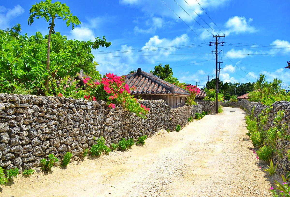 極上の沖縄 -okinawa- tweet media