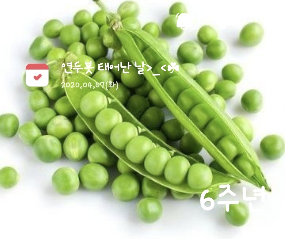 Color_Pea_Green's tweet photo. 연두봇 6주년이 되었어요.
봄도 찾아오고 꽃도 많이
피었더라고요. 앞에 첫번째
사진은 직접 찍어본 노란끼
있는 연두색 풀입니다🌱
매일매일 반복되는 일상속에서
봄이되�� 늘 찾아오는 새싹처럼
행복,기쁨,평안이 우리의 삶
가운데에 함께하면 좋겠습니다
오늘도 어린아이처럼 연두하기☘️ https://t.co/rhyGJQN9br