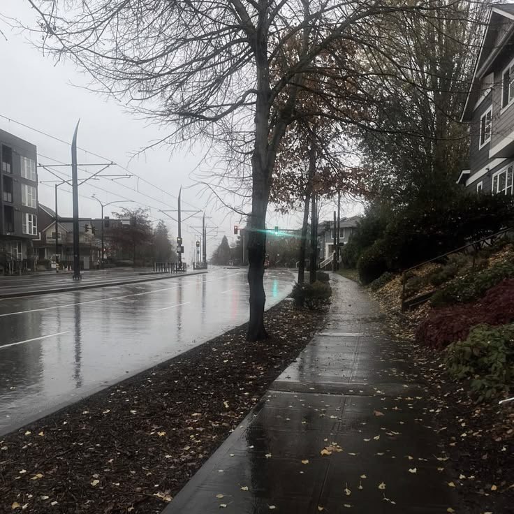 angelica ⟡ tweet media