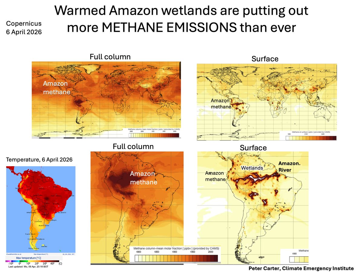 PCarterClimate's tweet image. AMAZON WETLANDS EMITTING MORE METHANE
Amazon wetlands are now a global hotspot for methane emissions, which includes wetland trees. 
CAMS methane, 6 April 2026 
#emissions #climatechange #globalwarming