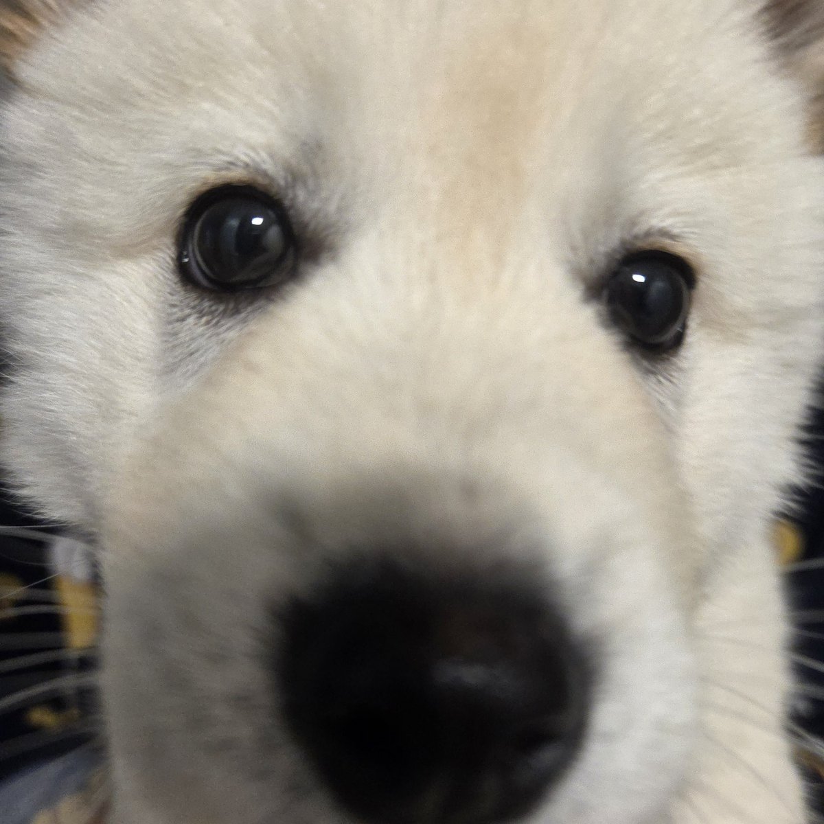 김미르의 성장일지 tweet media