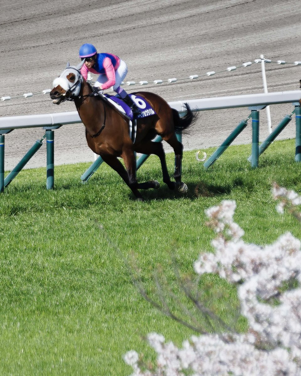 よーう。 tweet media