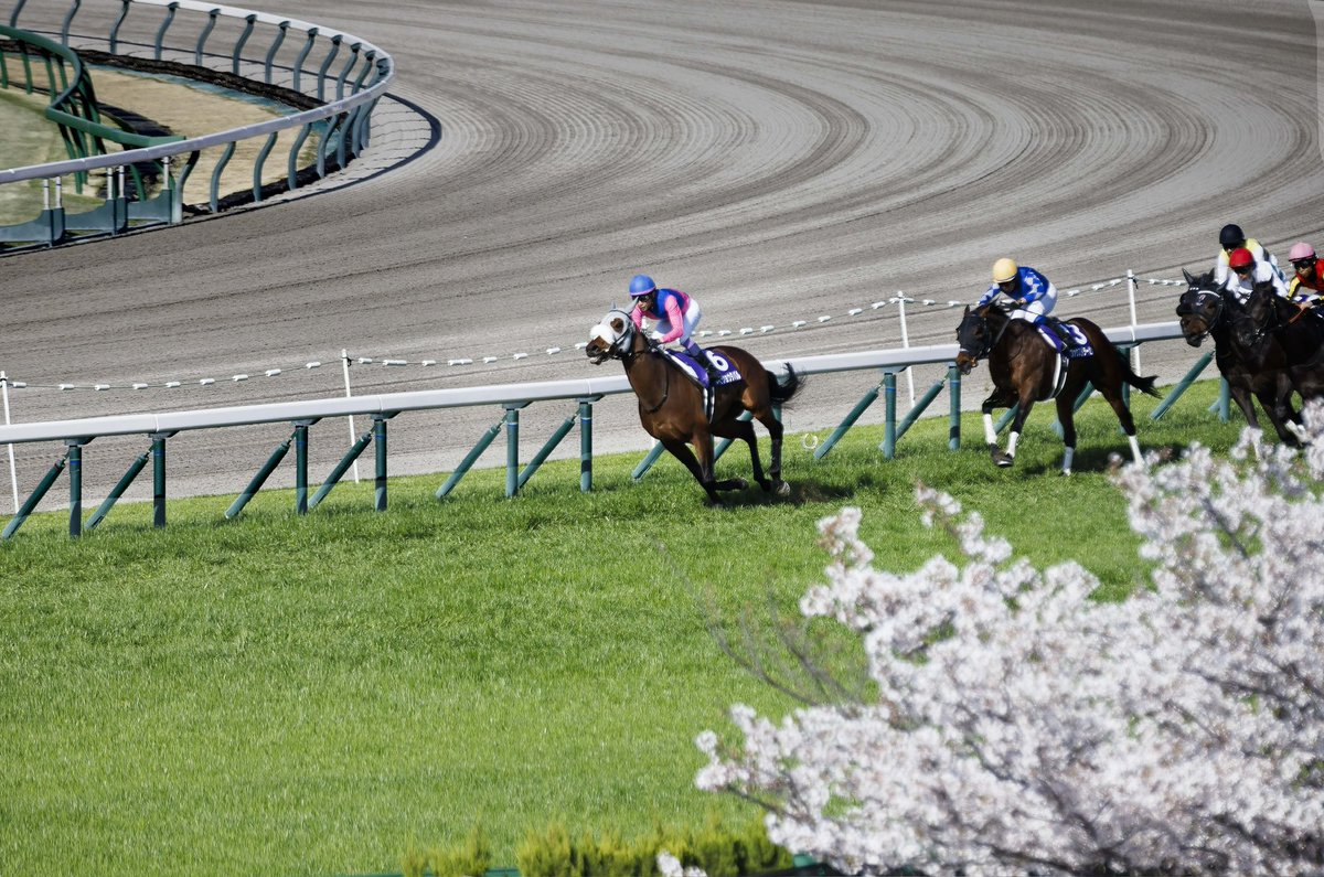 よーう。 tweet media