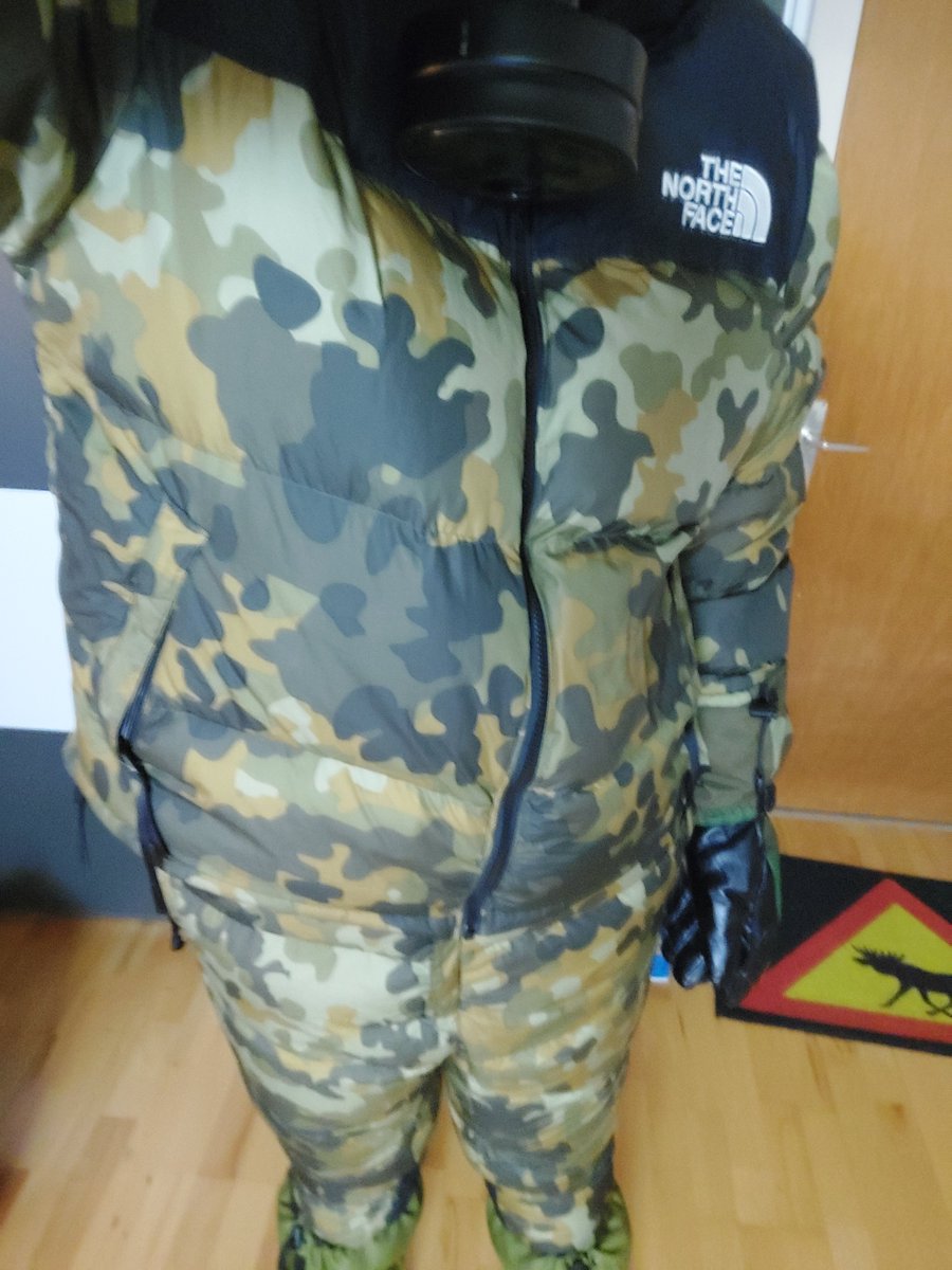 testo1234o5 tweet media