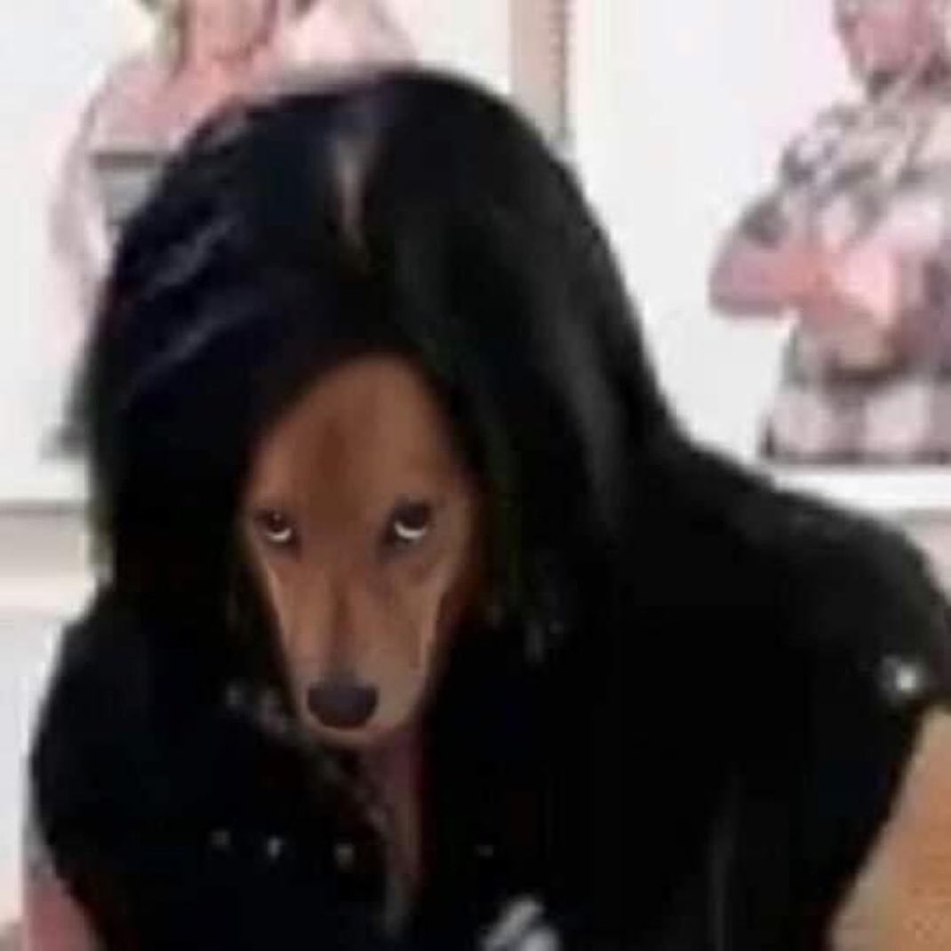 R0d 🦈 tweet media