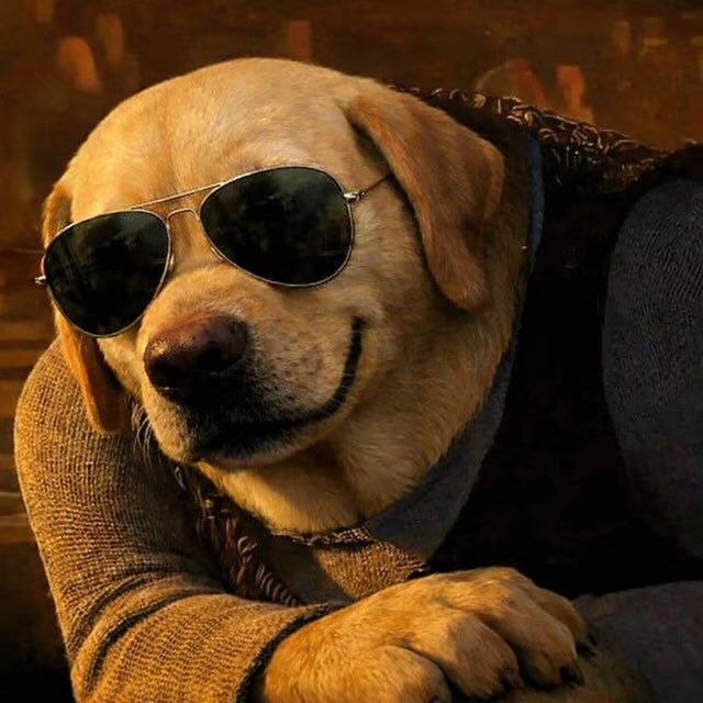 <a href="/phantom/">Phantom</a> Another 33% chance intern like DOGS