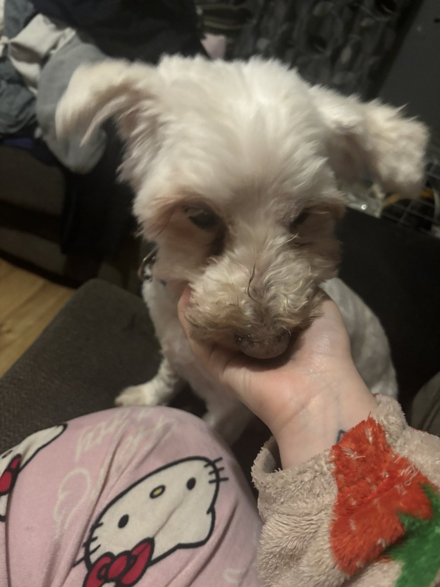 sadhbh 🌟 tweet media