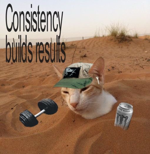 older brother of shedtwt tweet media