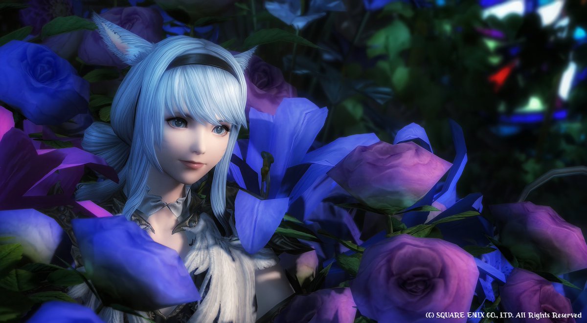 ちゃいぐら tweet media