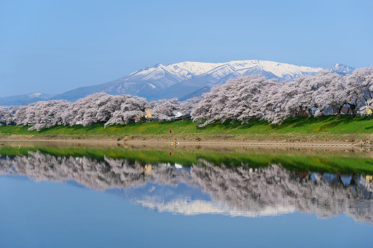 （株）むう企画【公式】 tweet media