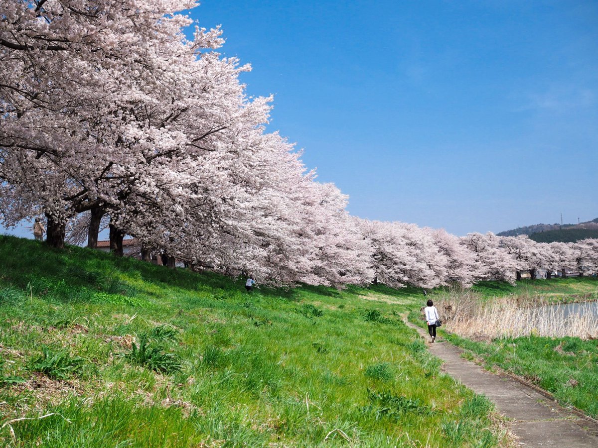 （株）むう企画【公式】 tweet media