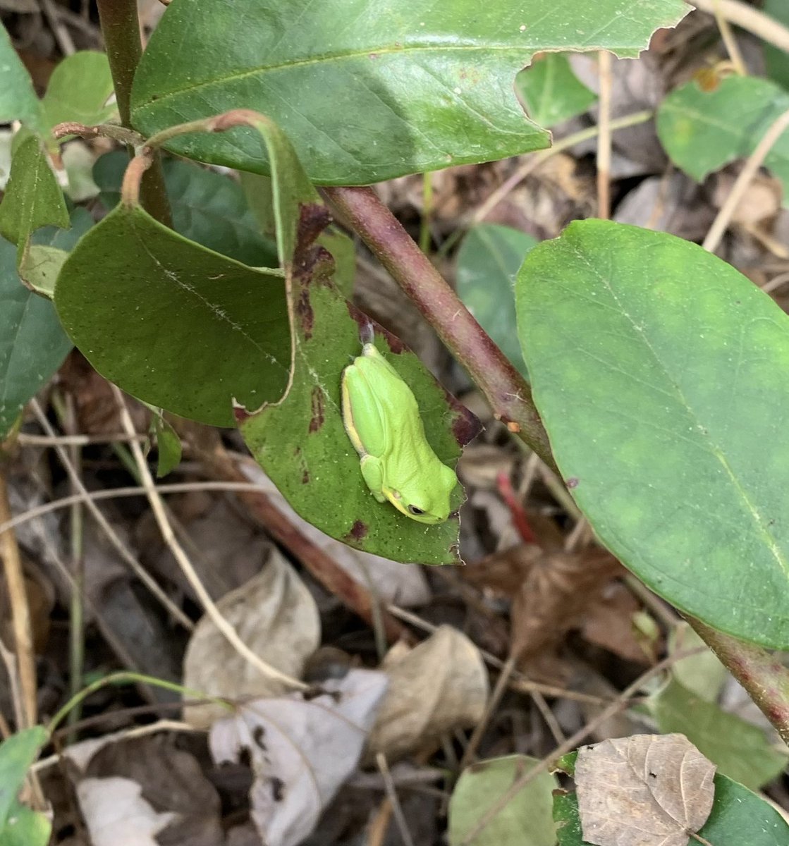 Will Duke tweet media