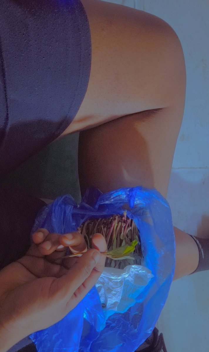 ☆Łêòń🧸🎀✨️☆ tweet media