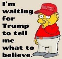 Fighting Disinfo tweet media