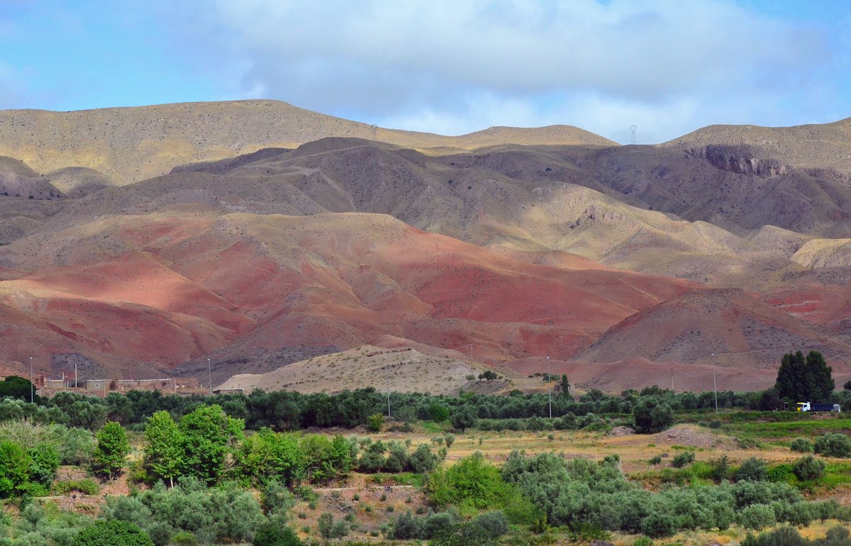 Elnaz Mansouri tweet media