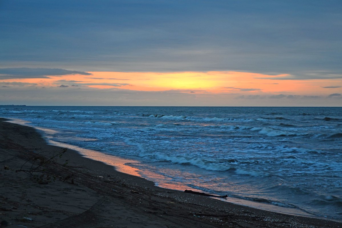 Elnaz Mansouri tweet media