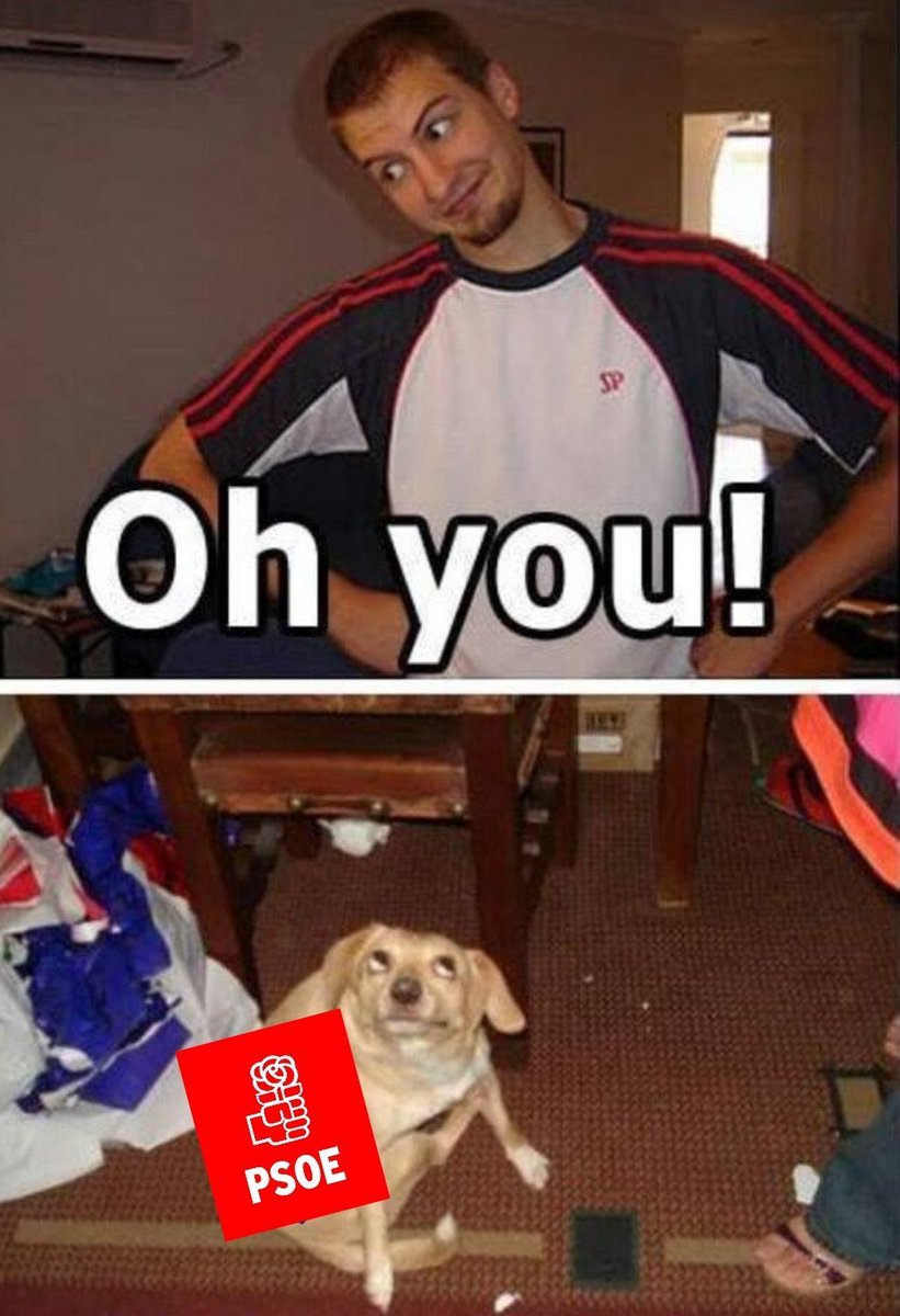 Capitan Lang tweet media