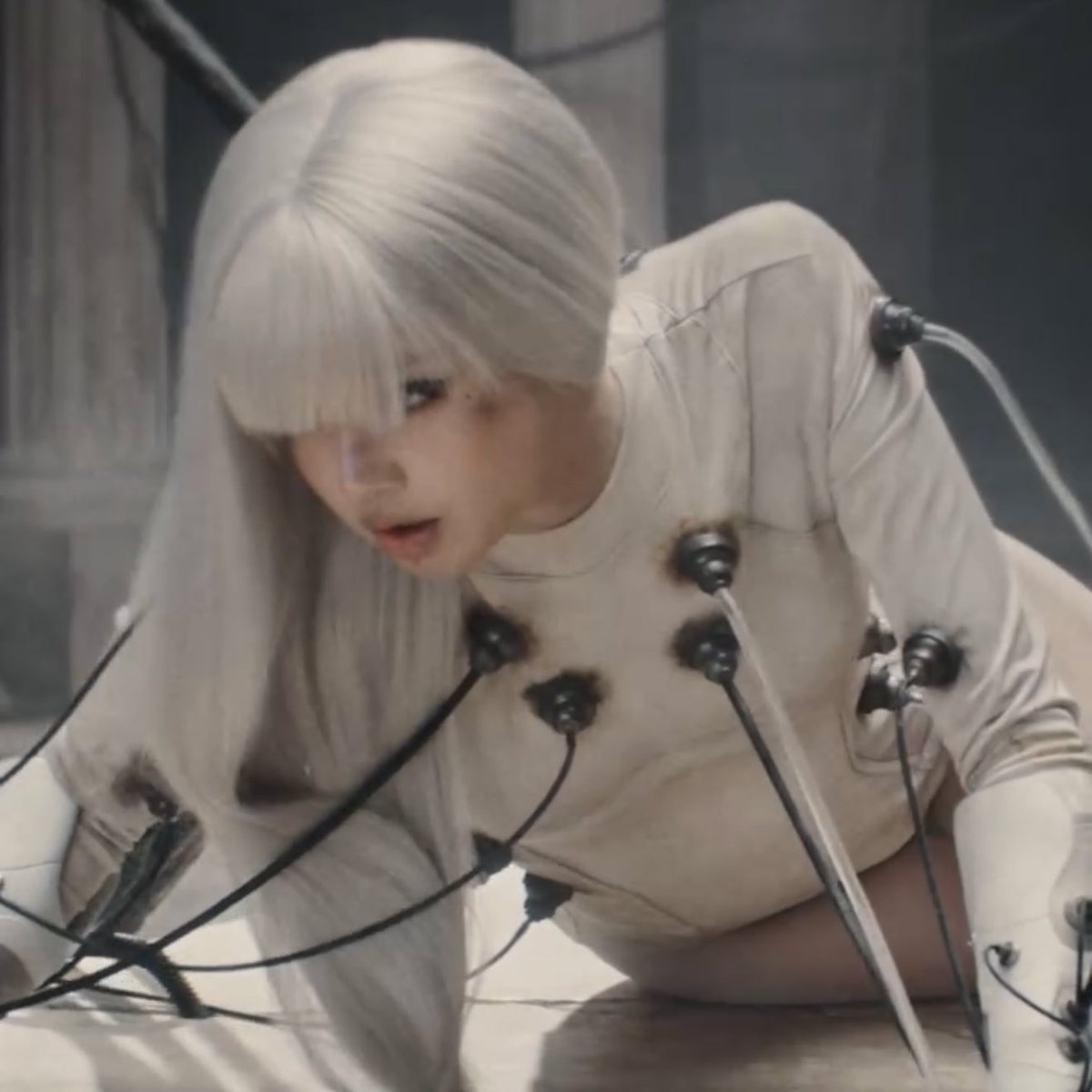 hourly lisa tweet media