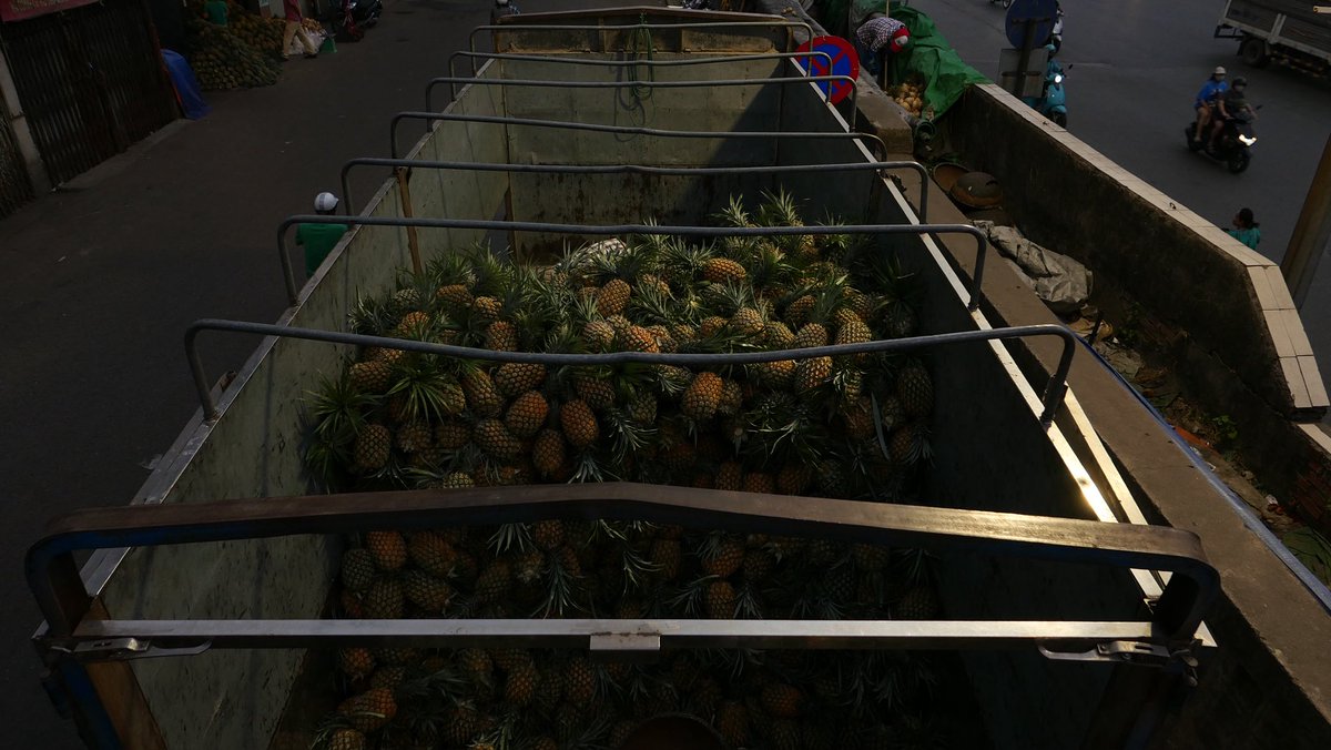 🅄🄼🄴 tweet media