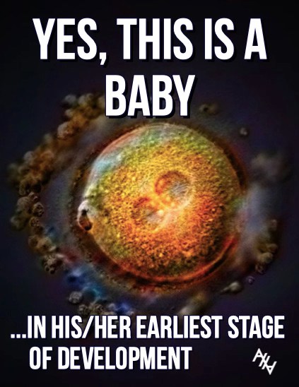 Jon Speed tweet media