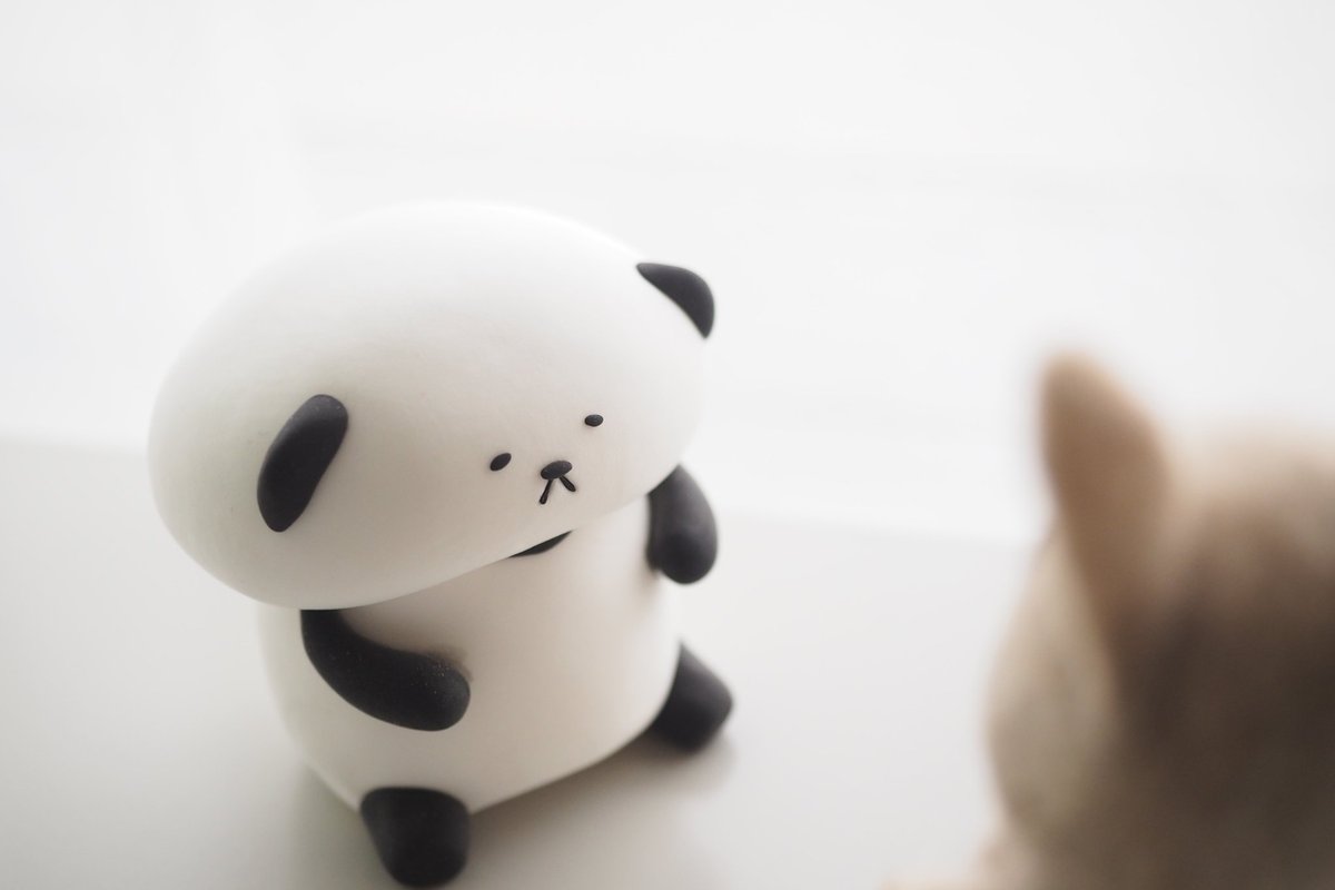 Sleepy Sheep tweet media