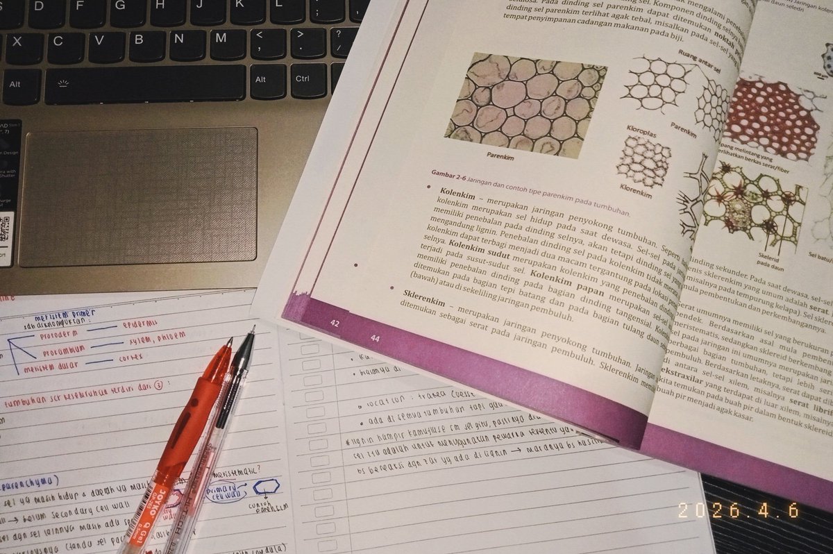 naynapple²7 💊🩻🫙🫧 tweet media