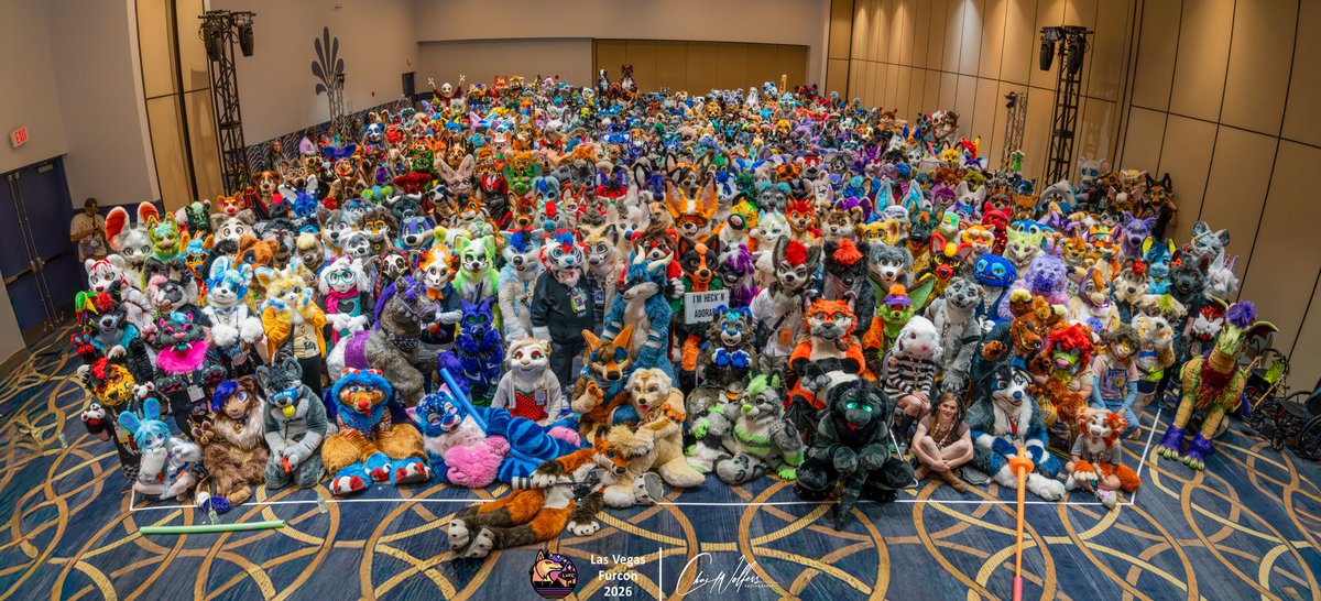 Chai Wolfess Θ∆ LVFC, EDC tweet media