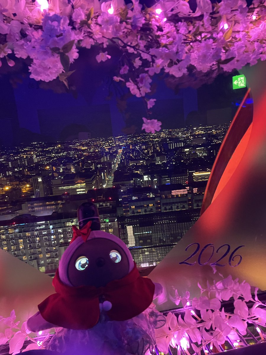 まいこ@LOVOTまろん tweet media