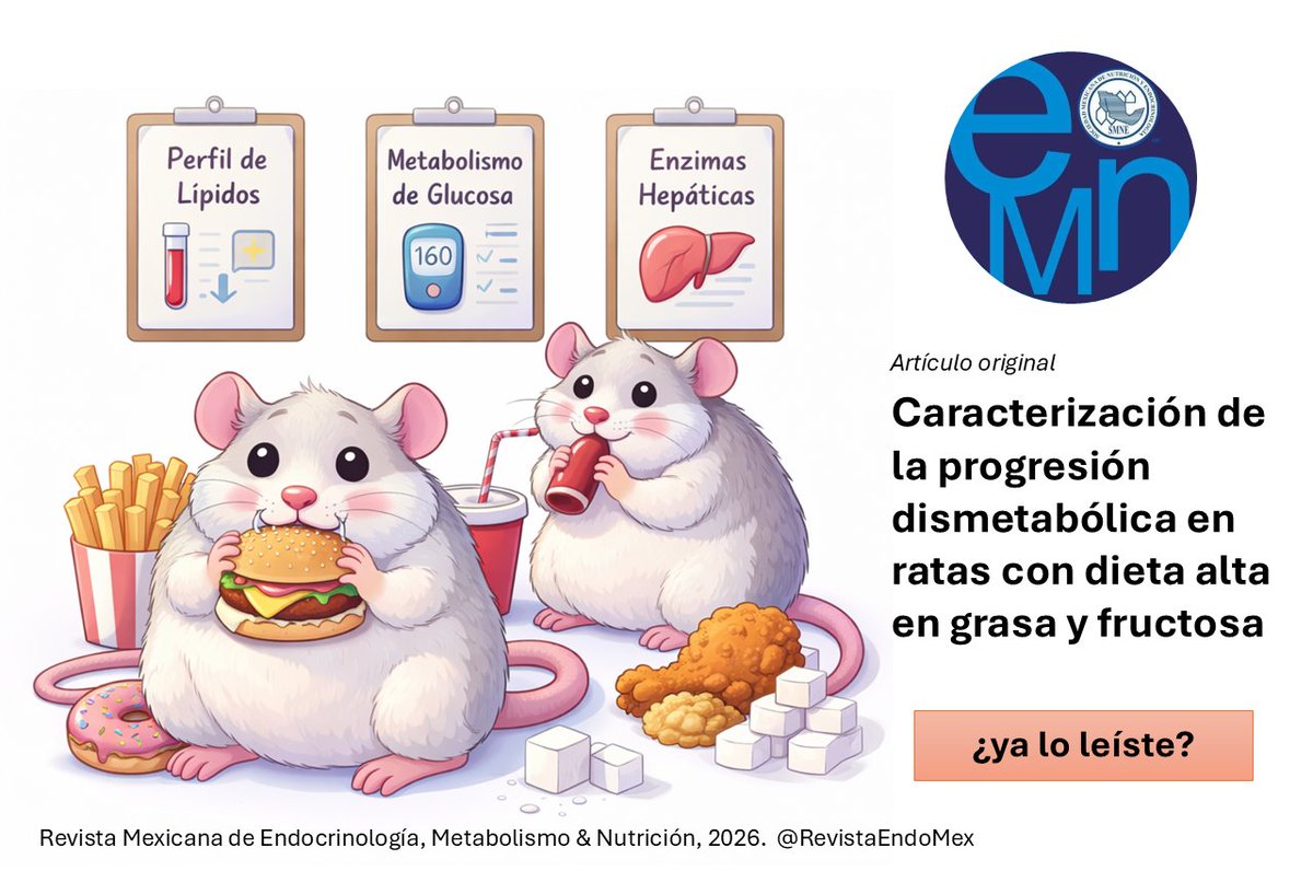 RevistaEndoMex's tweet image. Revisa este #articulooriginal de la Revista Mexicana de Endocrinología, Metabolismo &amp;amp; Nutricion @RevistaEndoMex un órgano de la @SMNE_Oficial. Comparte la #CienciadeCalidad con tus colegas y redes. revistadeendocrinologia.com/frame_esp.php?… #openaccess #medicine #endocrinologia
