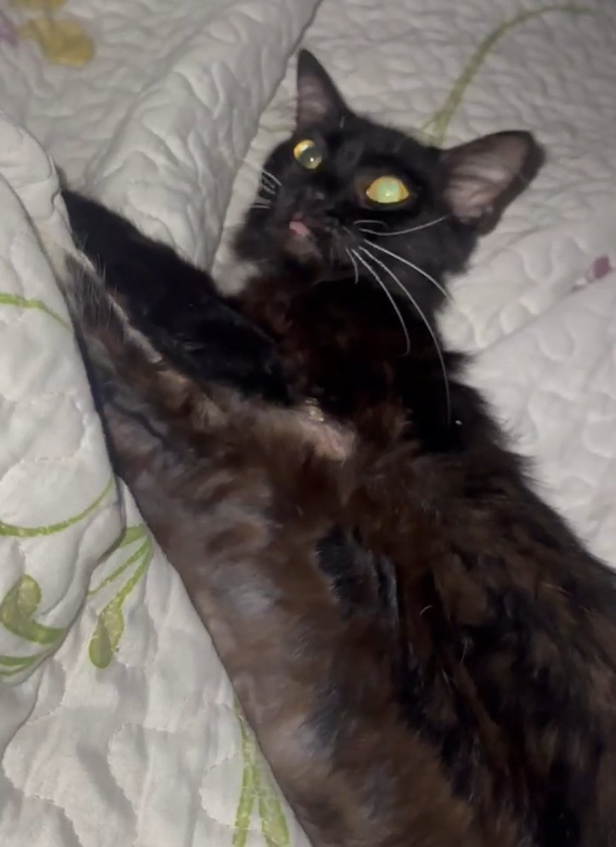 Julie Smith tweet media