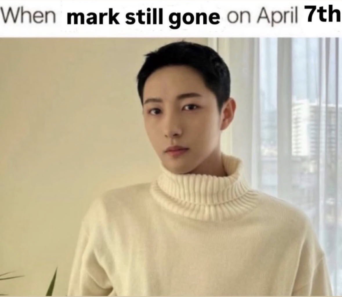 leila🪽 tweet media