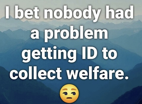 SparksN123 tweet media