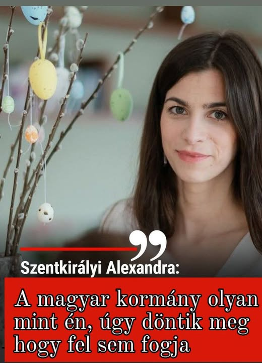 Gusztáv Zámbori tweet media