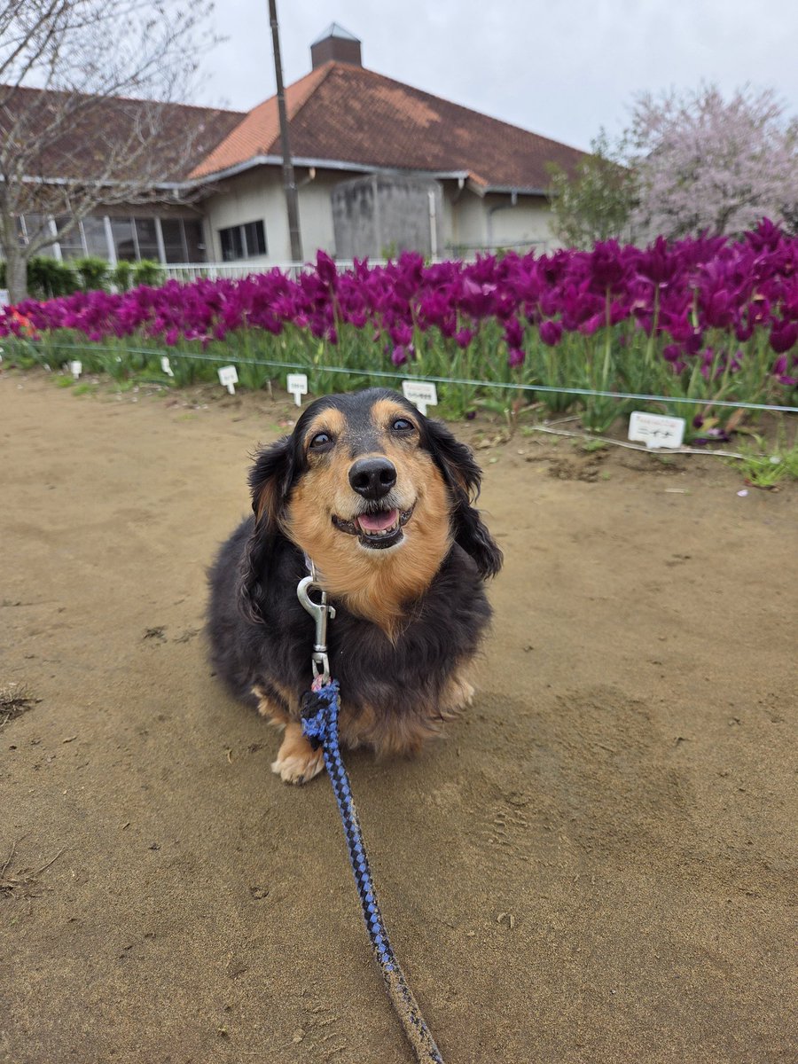 たなべひろゆき tweet media