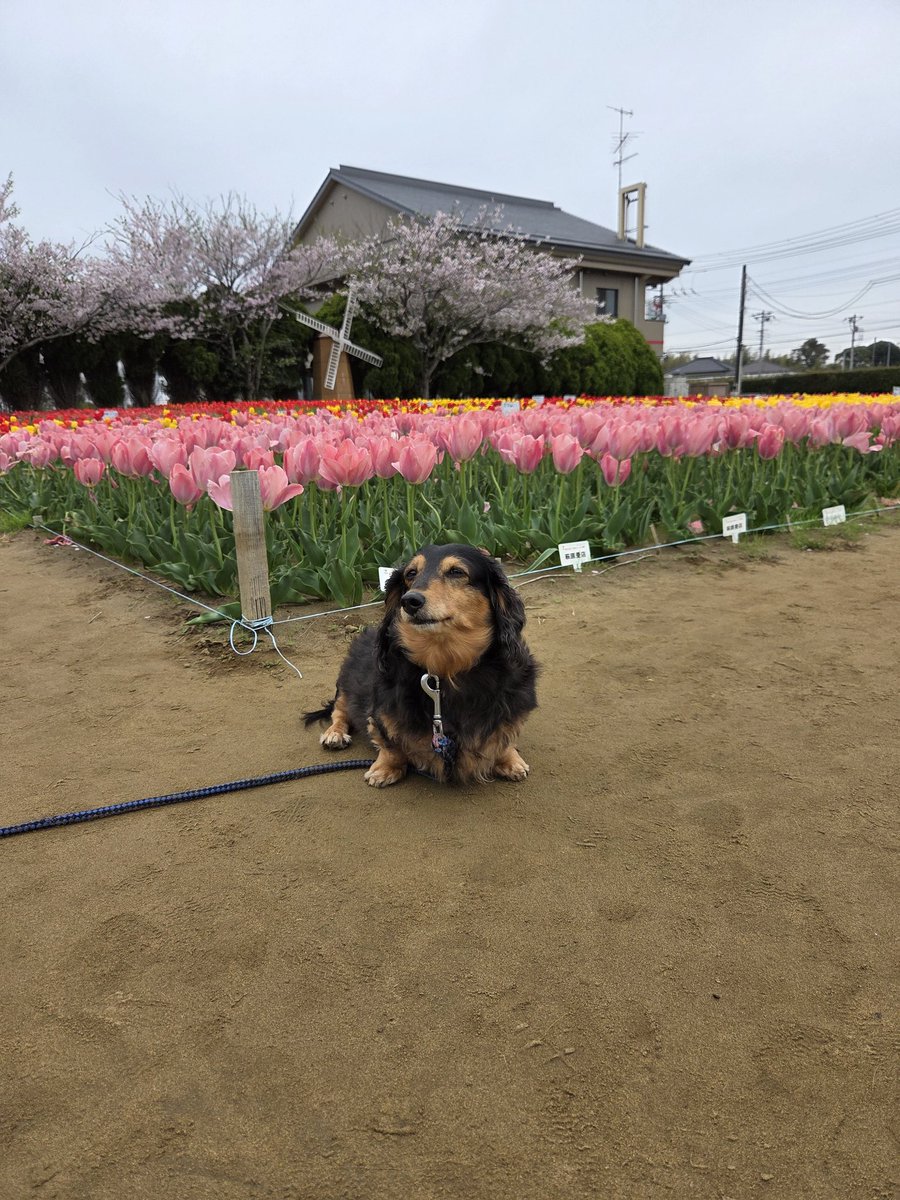 たなべひろゆき tweet media