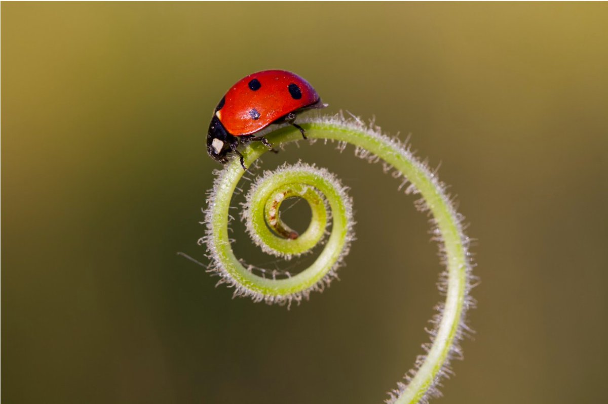 CarePatrol of Baltimore tweet media