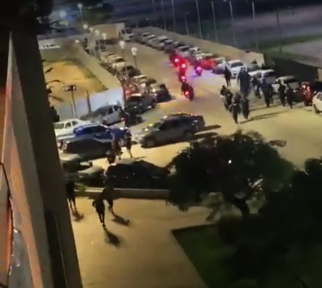 Valeria Azerrat tweet media